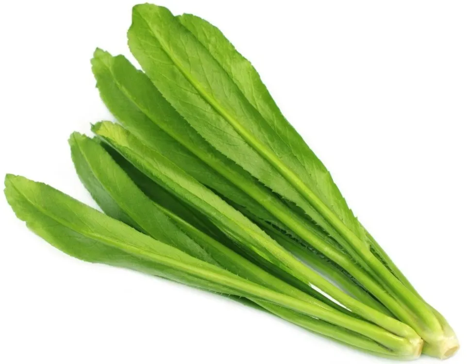 বিলাতি ধনিয়া পাতা ১০০ গ্রাম