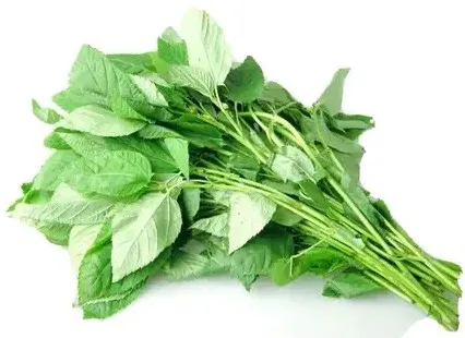 পাট শাক ৫০০ গ্রাম